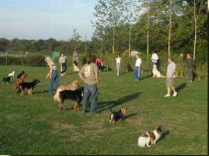 Exercice difficile ! Les chiens sont debout et la plupart des maîtres sont loin... (Il est si tentant d'avancer tout doucement ou de s'asseoir...)