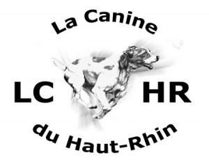 logo-lchr