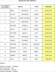 Resultats niv 3